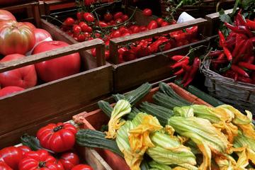 Livorno Private Shore Excursion: Food tour of Florence