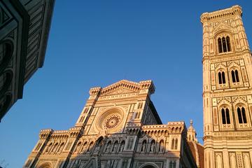 Livorno Shore Excursion: Florence and Pisa Private Day Trip