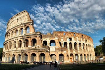 Private walking tour - The Colosseum, the Palatine Hill and the Roman Forum