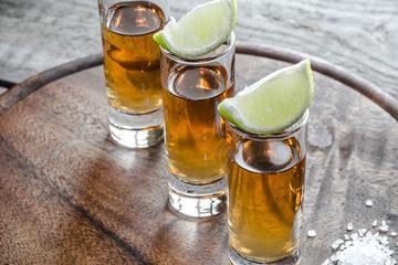 Tequila and Mundo Cuervo Distillery Tour from Guadalajara