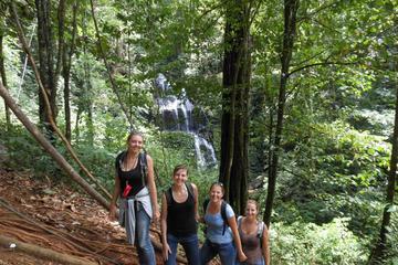 Browns-Mountain Day Trip from Paramaribo