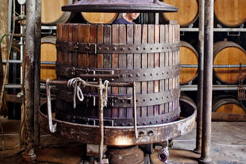 Wirra Wirra Vineyard McLaren Vale: Winery Tour and Shiraz Masterclass