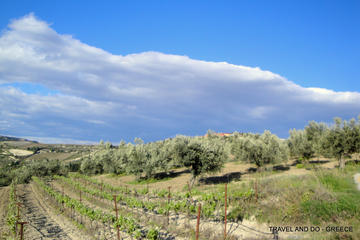 Private Wine Tasting Peloponnese Countryside Tour including Lunch a la carte