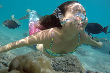 Mermaid Tour- Waikiki