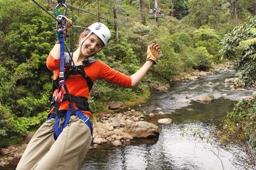 6 in 1 Rain Forest Adventure in Braulio Carrillo National Park from San Jose