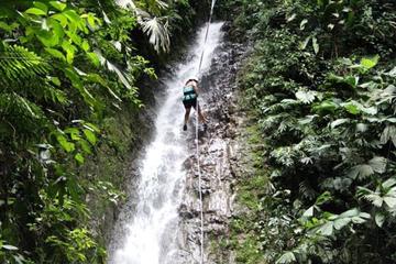 Adrenaline Junkie from Jacó