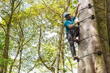 Arboreal Tree Climbing Sky Park from Monteverde