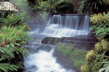 Arenal Volcano and Tabacón Hot Springs Day Trip from San José