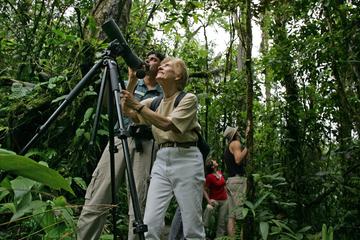Birding tour from San José