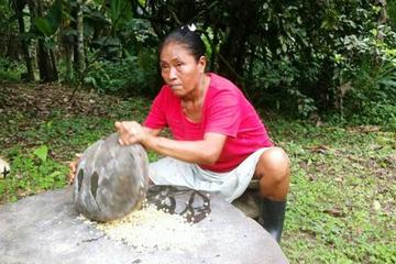 Bribri Cultural Tour with Shaman Ritual and Waterfall Hike from Limon