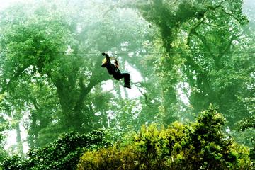Canopy-Hanging Bridges and Butterfly Garden from Monteverde