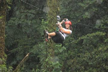 Canopy Tour from Monteverde