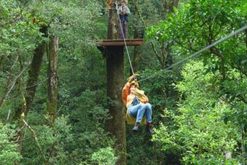 Canopy Tour from Puerto Viejo of Sarapiquí