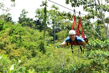 Canopy Zipline Tour with Superman Flight from Puerto Viejo or Cahuita