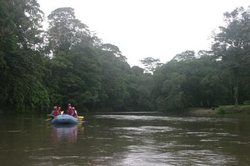 Floating Safari Tour from Puerto Viejo of Sarapiquí