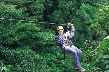 Half-Day Monteverde Zipline, Rainforest Canopy and Hanging Bridges Tour