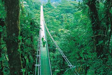 Hanging Bridges and Insect Museum from Monteverde