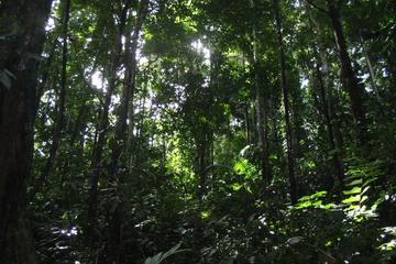 Hiking Cahuita from Puerto Viejo of Limon