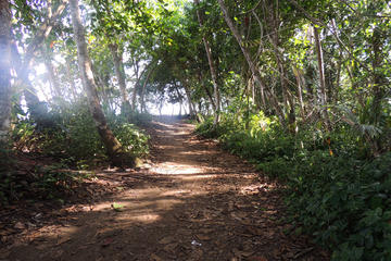 Hiking Gandoca - Manzanillo from Puerto Viejo of Limon