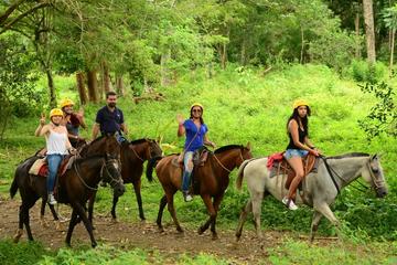 Horseback Riding with Waterfall Included from Jacó