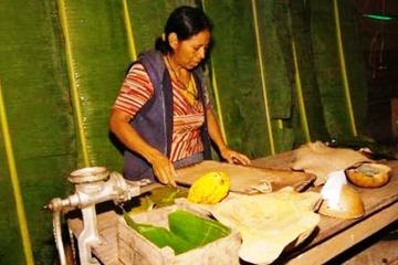 Kekoldi Half Day from Puerto Viejo of Limon
