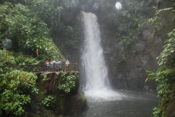 La Paz Waterfall Gardens from San José