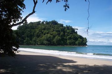 Manuel Antonio National Park Guided Nature Hike