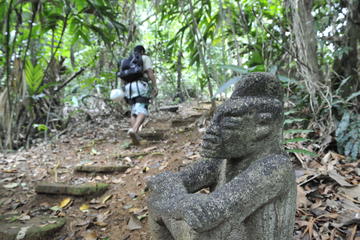 Puerto Viejo Jungle Adventure: Hiking, Rapelling, and Canopy Tour