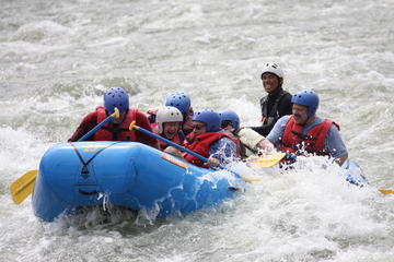 Rafting Reventazon River Class II - III from San Jose