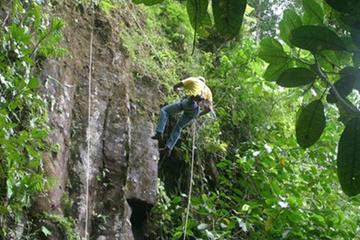 Rappel Tour from Puerto Viejo of Sarapiquí