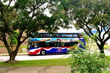 San Jose City Sightseeing by Double-Decker Bus with Lunch
