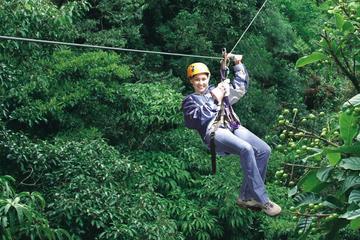 Selvatura Park Canopy Tour from Monteverde