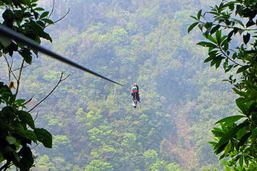 Sky Tram-Sky Trek and Arboreal Tree Climbing from Monteverde