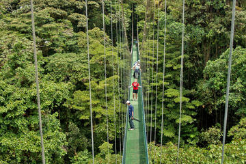 Sky Walk, Sky Tram, and Sky Trek Zipline Combo Tour from Monteverde