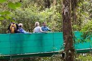 Sky Walk with Guide from Arenal