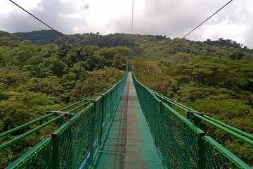 Small-Group Hanging Bridges 2-hour Tour from Monteverde
