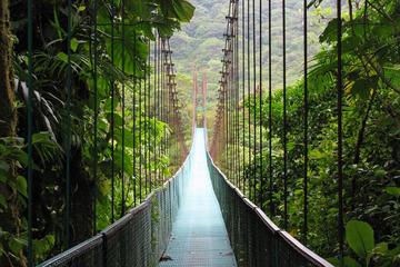 Small-Group Monteverde Sky Walk and Coffee Tour