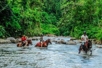 Small-Group Tour: Horseback Riding in Arenal River from La Fortuna