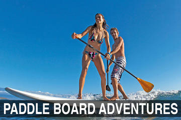 Boat Ride with Mangrove Paddle Boarding Tour