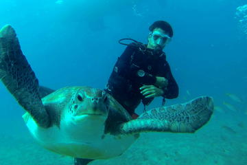 Open Water Course