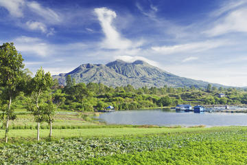 Bali Highlights Tour