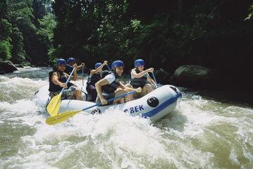 Bali Jungle White Water Rafting Adventure