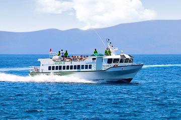 Eka Jaya Boat Transfer from Padang Bai to Lombok
