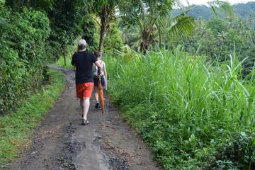Full-Day Ubud Trekking Tour including Massage Experience