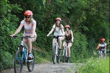 Half-Day East Bali Village Cycling Tour with Lunch or Dinner