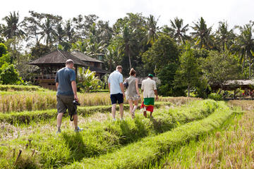 Rice Paddies Village Walking Tour