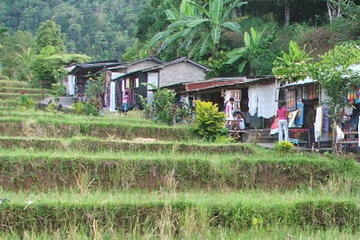 Singaraja and Bedugul North Coast Bali Mountain Tour