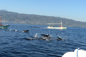 Small-Group Dolphin Watching, Waterfalls, and Ulan Danu Temple Tour from Bali