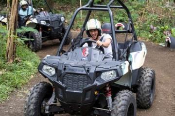 White Water Rafting and Jungle Buggies