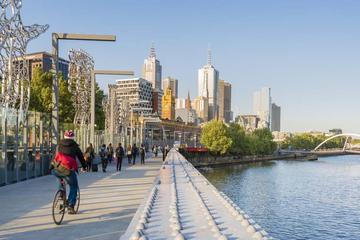 Melbourne Shore Excursion: City Centre Sights and Mornington Peninsula
